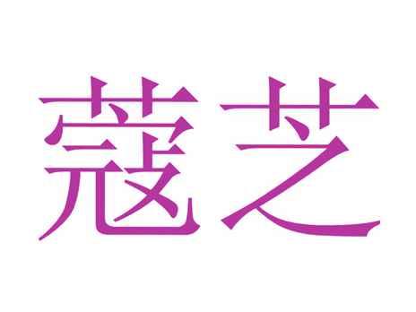 蔻芝