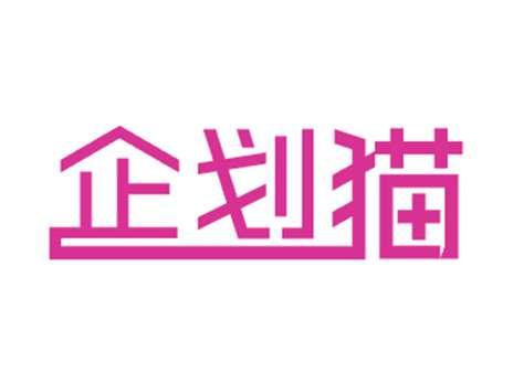 企划猫