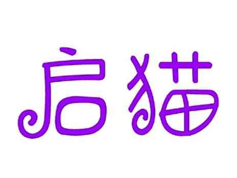 启猫
