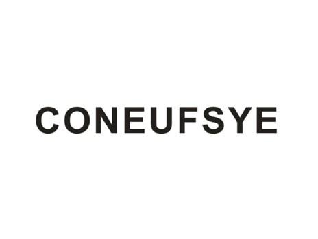 CONEUFSYE（仿匡威）