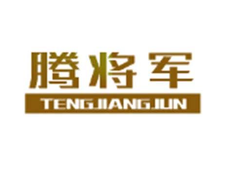 腾将军