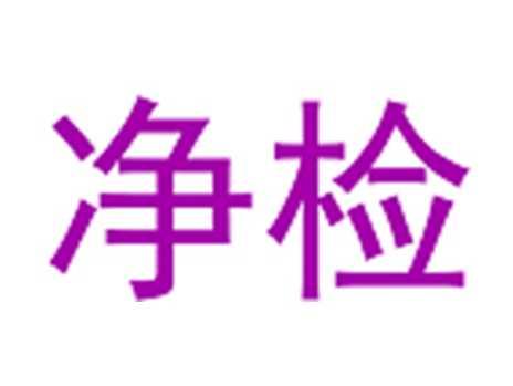 净检