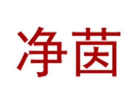 净茵