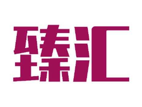 臻汇