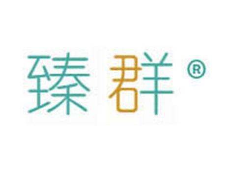 臻群