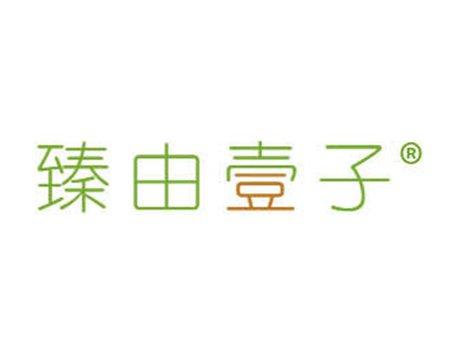 臻由壹子