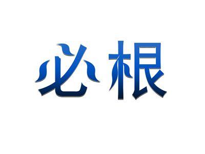 必根