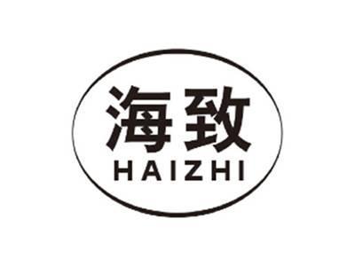 海致HAIZHI