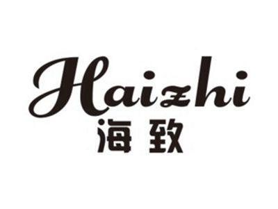 海致HAIZHI