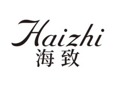 海致HAIZHI