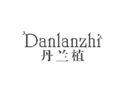 丹兰植danlanzhi
