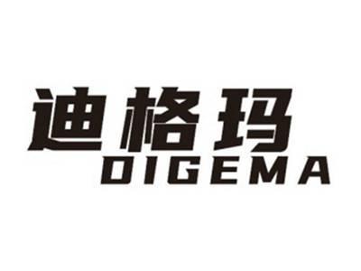 迪格玛DIGEMA