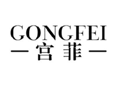 宫菲GONGFEI