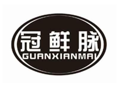 冠鲜脉GUANXIANMAI