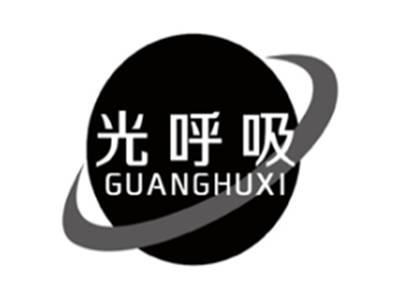 光呼吸GUANGHUXI