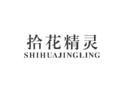 拾花精灵SHIHUAJINGLING
