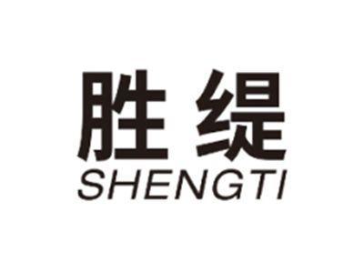 胜缇SHENGTI