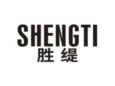 胜缇SHENGTI