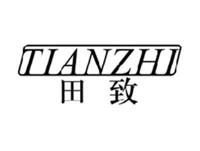 田致TIANZHI