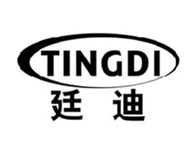 廷迪TINGDI