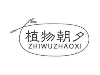 植物朝夕zhiwuzhaoxi