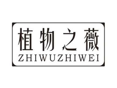 植物之薇ZHIWUZHIWEI