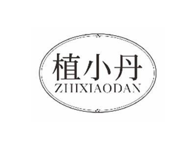 植小丹ZHIXIAODAN