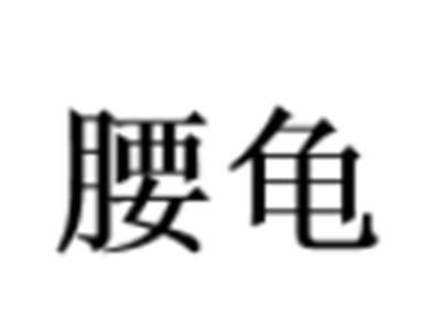 腰龟