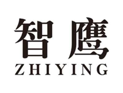 智鹰zhiying
