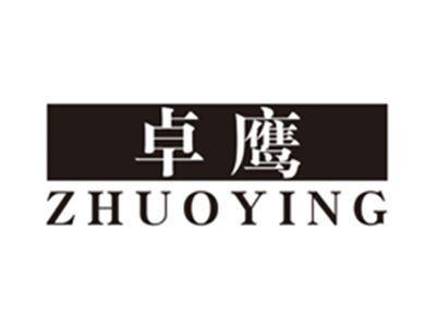 卓鹰zhuoying