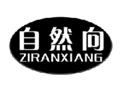 自然向ZIRANXIANG