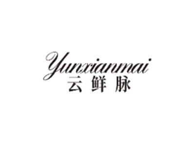 云鲜脉YUNXIANMAI