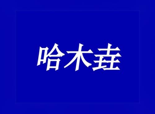 哈木垚
