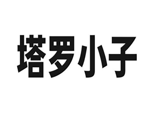 塔罗小子