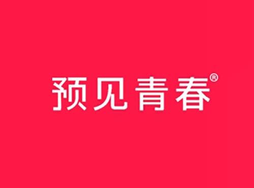 预见青春