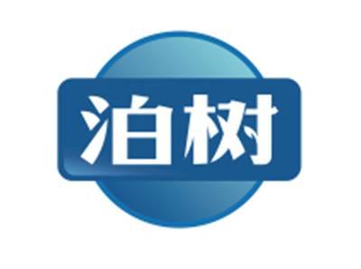 泊树