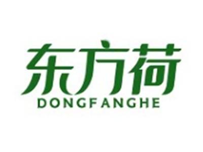 东方荷DONGFANGHE