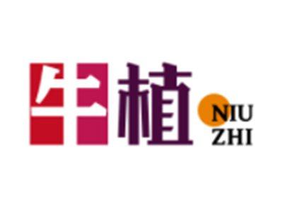 牛植NIUZHI