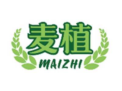 麦植MAIZHI