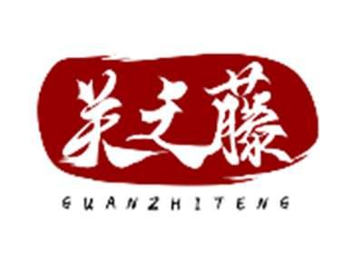 关之藤GUANZHITENG