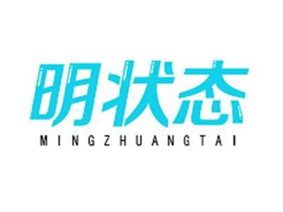 明状态MINGZHUANGTAI