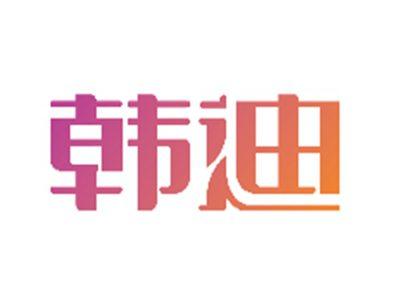 韩迪
