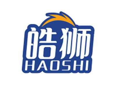 皓狮HAOSHI