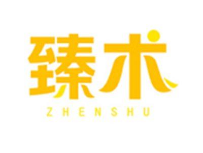 臻术ZHENSHU