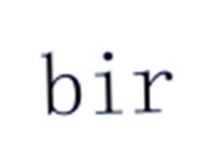 BIR