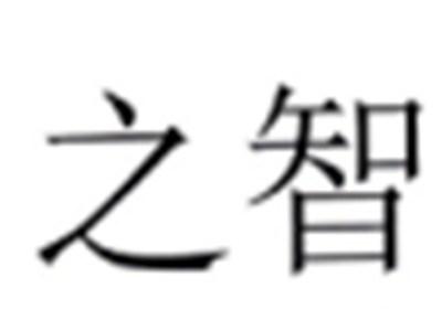 之智