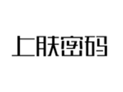 上肤密码