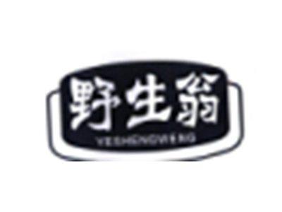 野生翁