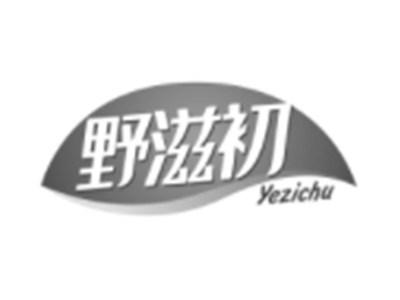 野滋初