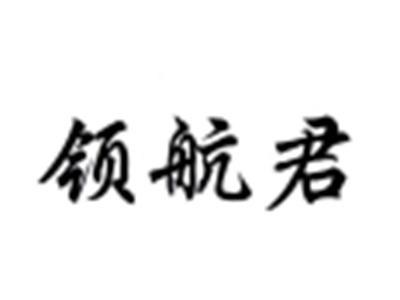 领航君